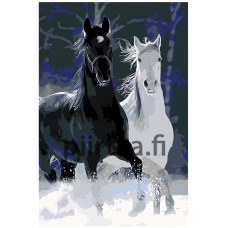 Maalaa numeroilla ANNA-051110