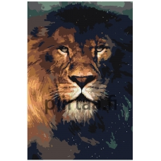 Maalaa numeroilla ANNA-11080