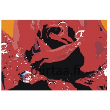 Maalaa numeroilla ANNA-Roza033