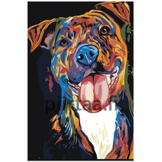 Maalaa numeroilla ANNA-sem004