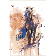 Maalaa numeroilla ANNA-sem005