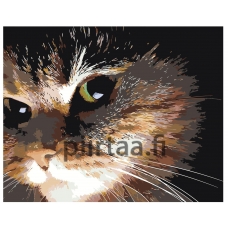 Maalaa numeroilla ARTH-AH108