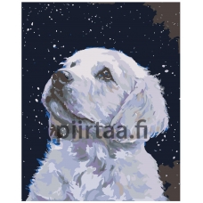 Maalaa numeroilla ARTH-AH142