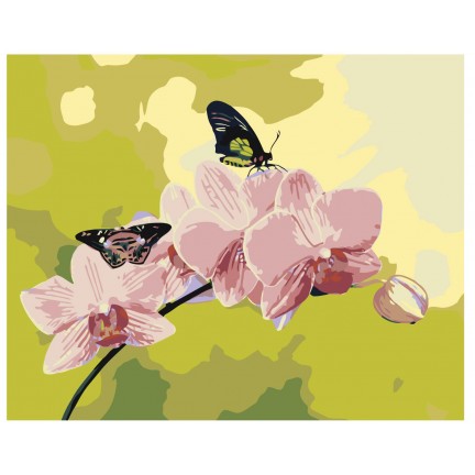 Maalaa numeroilla ARTH-AH243