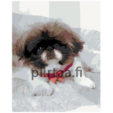 Maalaa numeroilla ARTH-AH2721