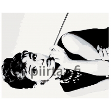 Maalaa numeroilla ARTH-AH321