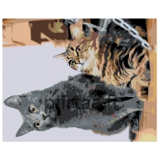 Maalaa numeroilla ARTH-AH326