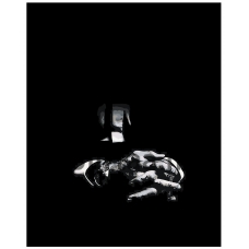 Maalaa numeroilla ARTH-AH356