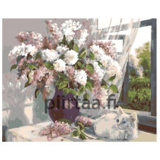 Maalaa numeroilla AYAY-0908