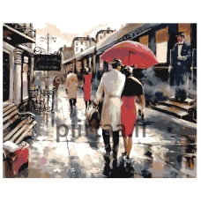 Maalaa numeroilla BH13