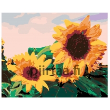 Maalaa numeroilla CH01