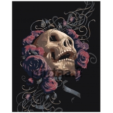 Maalaa numeroilla CP06