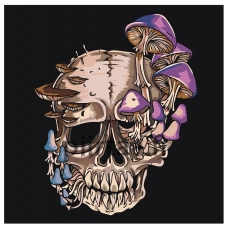 Maalaa numeroilla CP10