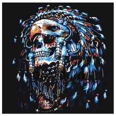 Maalaa numeroilla CP16