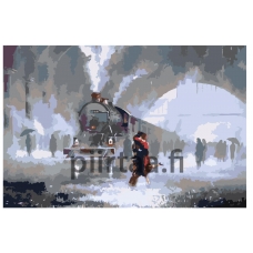 Maalaa numeroilla DR02