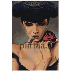 Maalaa numeroilla EL005