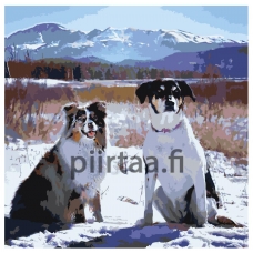 Maalaa numeroilla ETS106