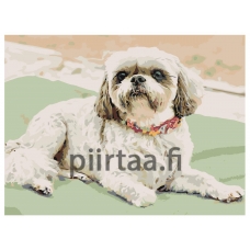 Maalaa numeroilla ETS123-1