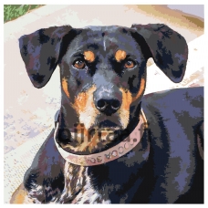 Maalaa numeroilla ETS139