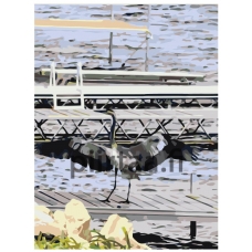 Maalaa numeroilla ETS176-1-3040