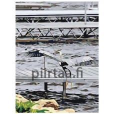 Maalaa numeroilla ETS176-2-3040