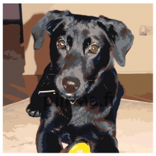 Maalaa numeroilla ETS213-4040