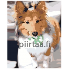 Maalaa numeroilla ETS219-2-4050