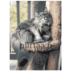 Maalaa numeroilla ETS235-2