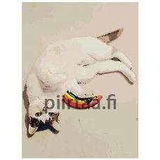 Maalaa numeroilla ETS246-3040