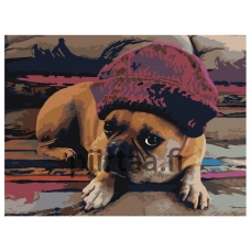 Maalaa numeroilla ETS251v2-3040