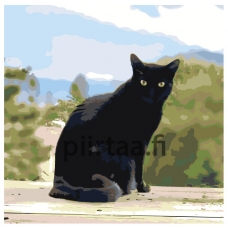 Maalaa numeroilla ETS294