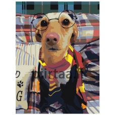 Maalaa numeroilla ETS340-3040