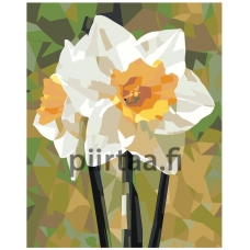 Maalaa numeroilla EVEE-art-0540