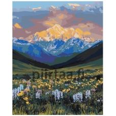 Maalaa numeroilla EVEE-art-0562