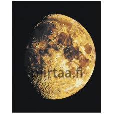 Maalaa numeroilla EVEE-art-0596