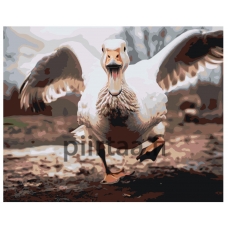 Maalaa numeroilla EVEE-goose-0001