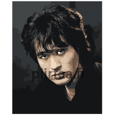 Maalaa numeroilla EVEE-tsoy-0003