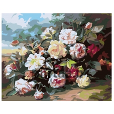 Maalaa numeroilla F01