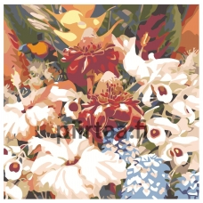 Maalaa numeroilla F13