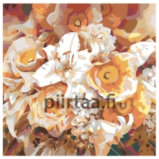 Maalaa numeroilla F16