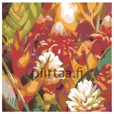 Maalaa numeroilla F18