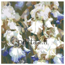 Maalaa numeroilla F19