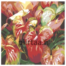 Maalaa numeroilla F20