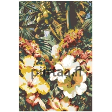 Maalaa numeroilla F21