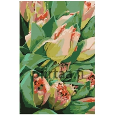 Maalaa numeroilla F41