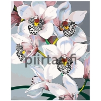 Maalaa numeroilla F45