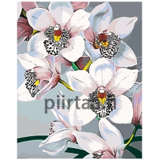 Maalaa numeroilla F45