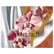 Maalaa numeroilla F47