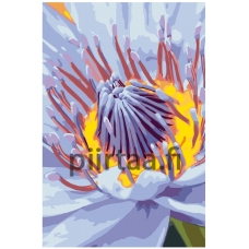 Maalaa numeroilla F49