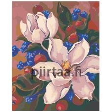 Maalaa numeroilla F51